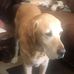 Doug Dillard - Facebook
