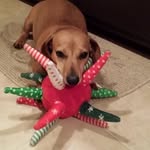 Doug Dillard - @doug.dillard.10 - Instagram