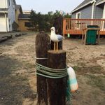 Doug Dixon - @doug.dixon.37 - Instagram