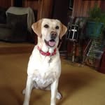 Doug Dodd - @doddinoff - Instagram