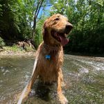 Doug - @doug_donaldson_ - Instagram