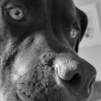 Floyd Dougal Dalton - Facebook