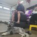 Doug Drown Racing - Facebook