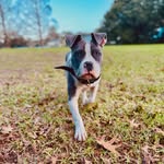 Doug Dunn - @tiwha25 - Instagram