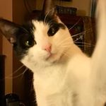 Doug Dunn - @doug.dunn.33 - Instagram
