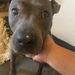 Doug Early - @dougearly8 - Instagram
