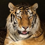 Doug Eberle - @doug_eberle - Instagram