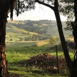 Doug Eddy - @douglaseddy - Instagram