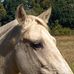 Doug Elam - Facebook