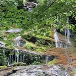 Doug Ellison - @doug_ellison - Instagram