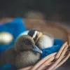 Douglass Elsass - @douglasselsass3149 - TikTok