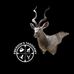Douglas Emerson - Facebook