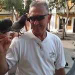 Doug Erickson - @dougerickson806 - Instagram
