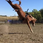 Doug Erickson - @4ebuckers - Instagram