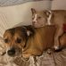 Doug Estes - Facebook