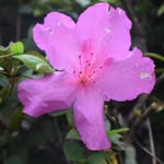 Doug Estes - @stepdaddydoug - Instagram