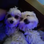 Doug Estes - @estesdoug - Instagram