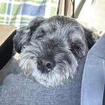 Doug Fennell - @dougfenne - Instagram