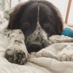 Douglas Fillmore Swarts - @dougie_swarts - Instagram