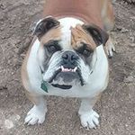 Doug Fogle - @doug.fogle - Instagram