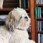 Doug Forbes - @wilf_the_warrior - Instagram