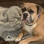 Doug Frey - @decatur_doug - Instagram