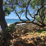 Doug Frey - @dfrey758 - Instagram
