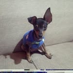 Doug Funny - @dougfunny_01 - Instagram