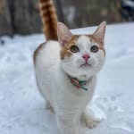 Douglas - @doug.funny69 - Instagram