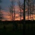 Doug Galloway - @galloway7078 - Instagram
