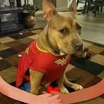 Doug Garver - @doug.garver.7 - Instagram