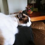 Doug Gates - @doug.gates.39 - Instagram