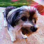 Doug - @douggeelife - Instagram