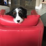 Doug Gordon - @doug.gee.989 - Instagram