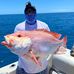 Doug Burts Tackle World Gold Coast - Facebook