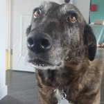 Doug Goldsmith - @doug.goldsmith.7121 - Instagram