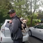 Doug Goldsmith - @meanjoe4202 - Instagram
