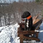 doug goodale - @dhgoodale - Instagram