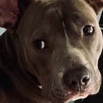 Doug Greene - @douggreene2387 - Instagram
