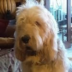 Douglas Griffiths - @douglas.griffiths - Instagram