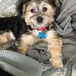 Doug Grimes - @grimes5608 - Instagram