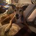 Doug Grimes - Facebook