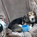 Doug Grinder - Facebook