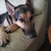 Doug Grove - Facebook
