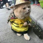leopp - @douglas_gump - Instagram