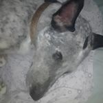 Doug (very cool guy) - @dougal_mcguire - Instagram