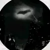 Douglas guy - @dougierobrson - TikTok