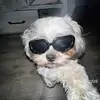 dohahaha - @dough.ha - TikTok
