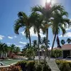 Doug Hadlock - @doug.hadlock - TikTok