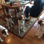 Douglas M Hagerman - @omx1998 - Instagram